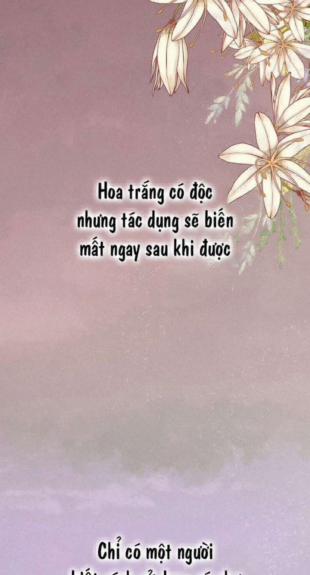 đọc truyện [ 18+ ] Bệ Hạ Đã Thay Đổi Rồi! Chương 1 ảnh 32 tại Thiên Thai Truyện