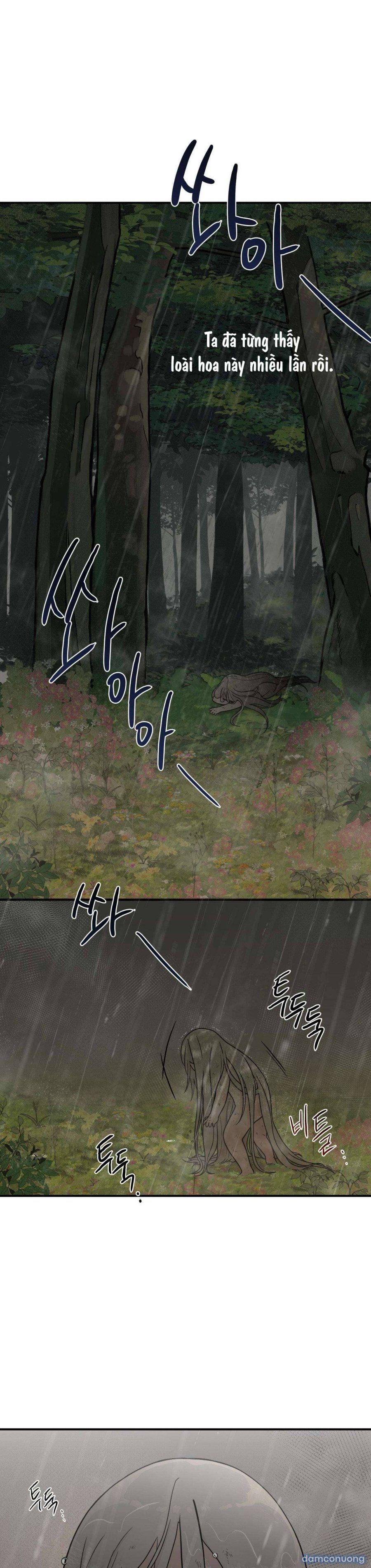 [ 18+ ] Bibisea Chương 6 page 18 - Giả Dược