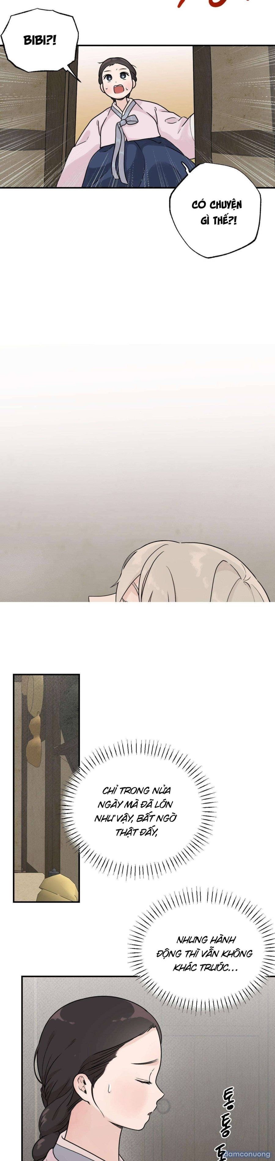 [ 18+ ] Bibisea Chương 7 page 19 - Giả Dược