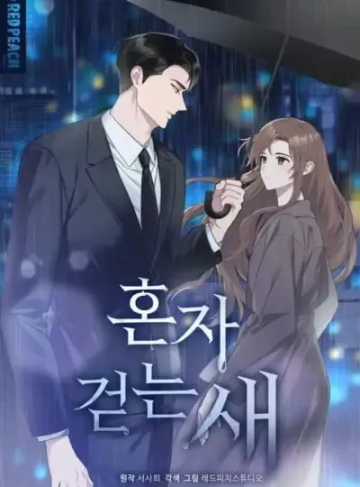 đọc truyện [ 18+ ] "chú Chim Đi Một Mình" Truyện Dạ Ký
