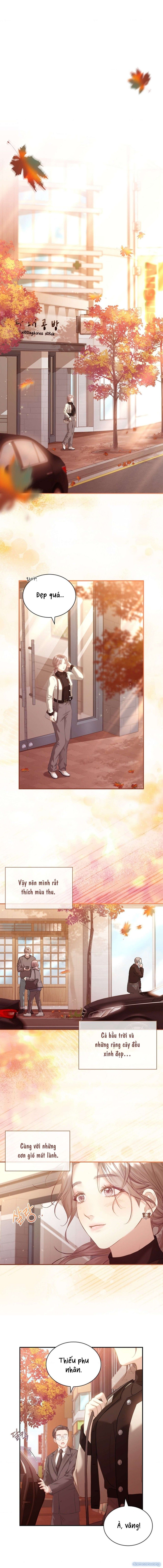 đọc truyện [ 18+ Không Che ] Người Vợ Trẻ Chương 24 ảnh 6 tại Thiên Thai Truyện