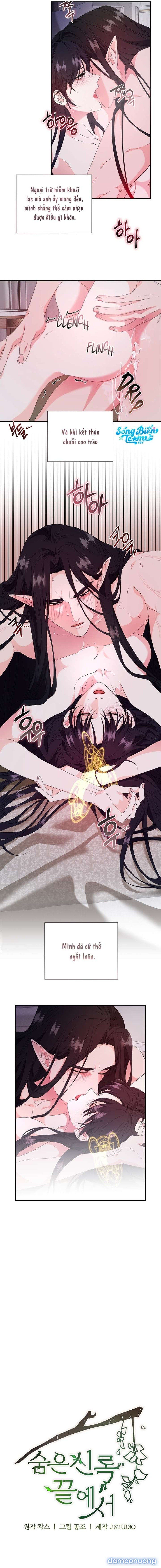 đọc truyện [ 18+ Không Che ] Tại Nơi Ẩn Mình Cuối Cùng Của Sắc Xanh Chương 13 ảnh 8 tại Thiên Thai Truyện