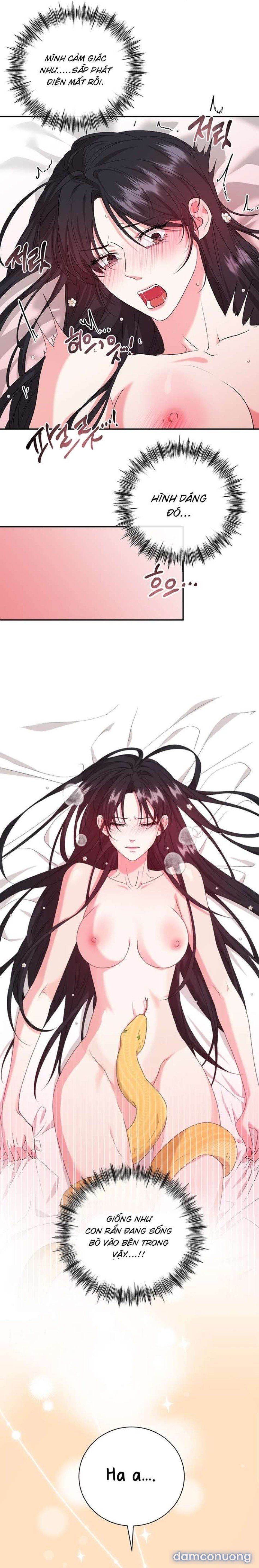 đọc truyện [ 18+ Không Che ] Tại Nơi Ẩn Mình Cuối Cùng Của Sắc Xanh Chương 17 ảnh 3 tại Thiên Thai Truyện