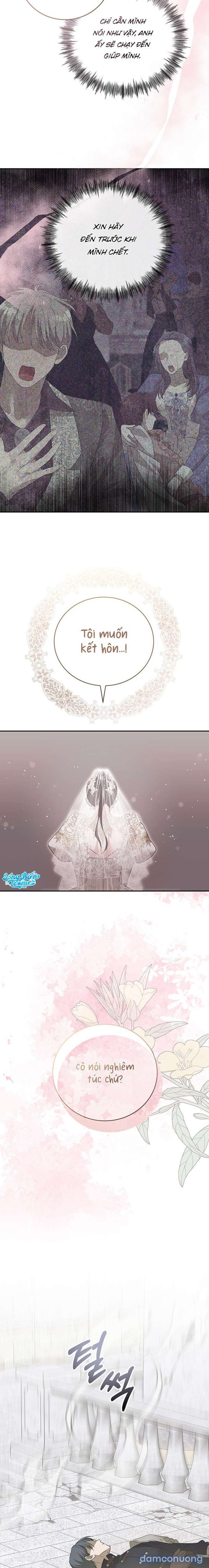 đọc truyện [ 18+ Không Che ] Tại Nơi Ẩn Mình Cuối Cùng Của Sắc Xanh Chương 33 ảnh 25 tại Thiên Thai Truyện