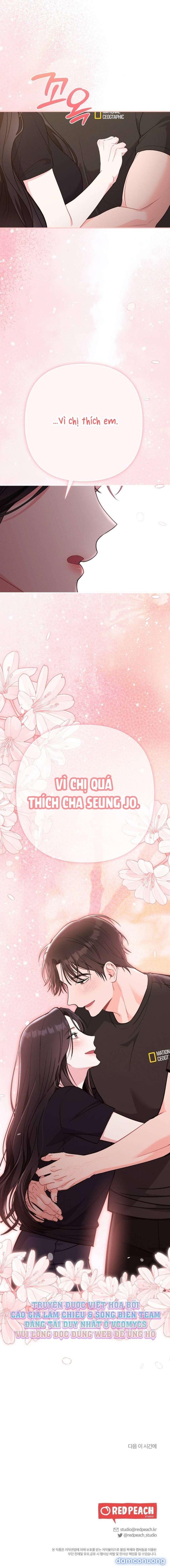 đọc truyện [ 18+ ] Mật Độ Mùa Hè Chương 24 ảnh 13 tại Thiên Thai Truyện