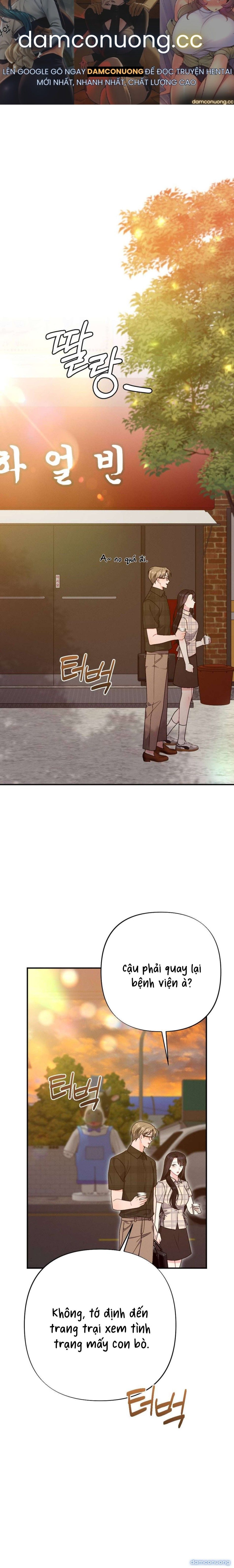 đọc truyện [ 18+ ] Mật Độ Mùa Hè Chương 8 ảnh 2 tại Thiên Thai Truyện