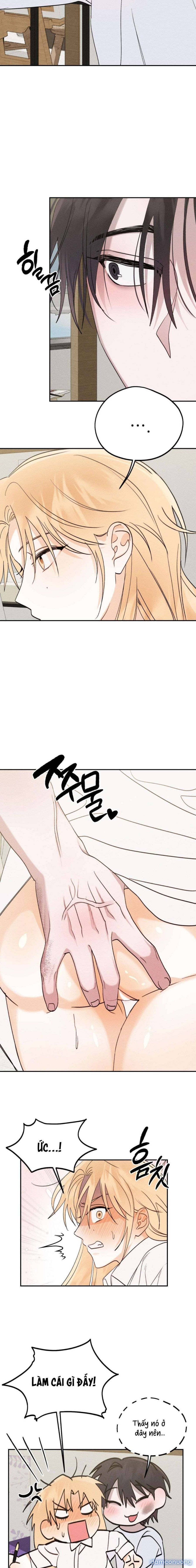 [ 18+ ] Người Đàn Ông Được Quỷ Theo Đuổi Chương 6 page 6 - Giả Dược