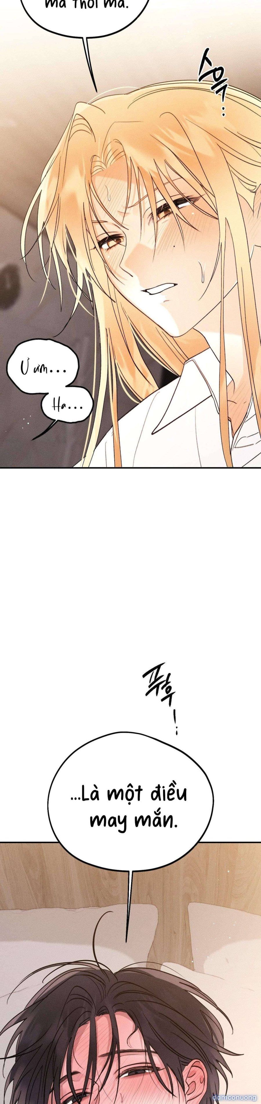 [ 18+ ] Người Đàn Ông Được Quỷ Theo Đuổi Chương 7 page 21 - Giả Dược