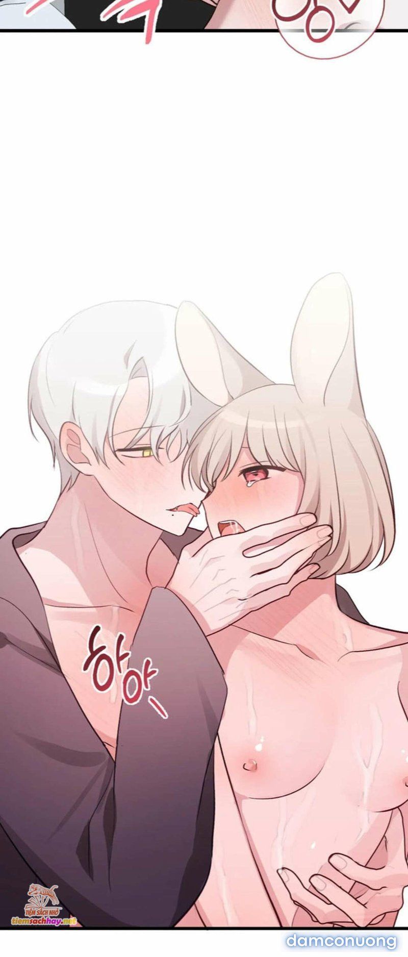 đọc truyện [ 18+] Rắn Và Thỏ Có Thể Kết Hôn Không? Chương 0 ảnh 17 tại Giả Dược