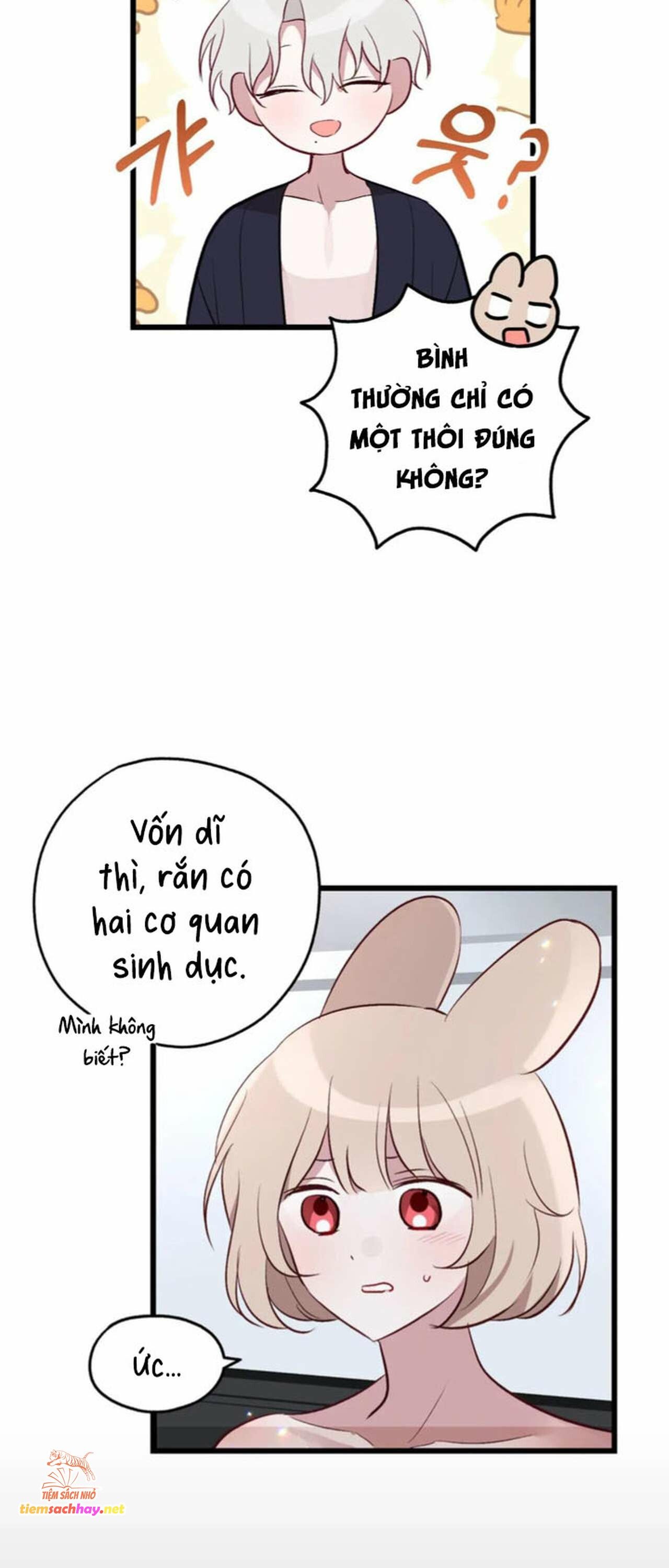 đọc truyện [ 18+] Rắn Và Thỏ Có Thể Kết Hôn Không? Chương 3 ảnh 10 tại Giả Dược
