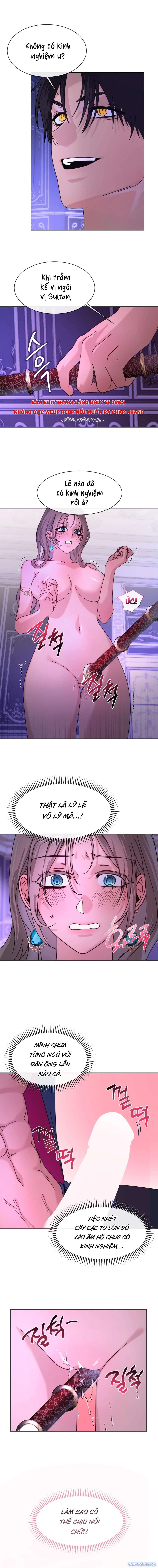 đọc truyện [ 18+ ] Trở Thành Chiến Lợi Phẩm Của Nhà Vua (sultan) Chương 3 ảnh 3 tại Thiên Thai Truyện