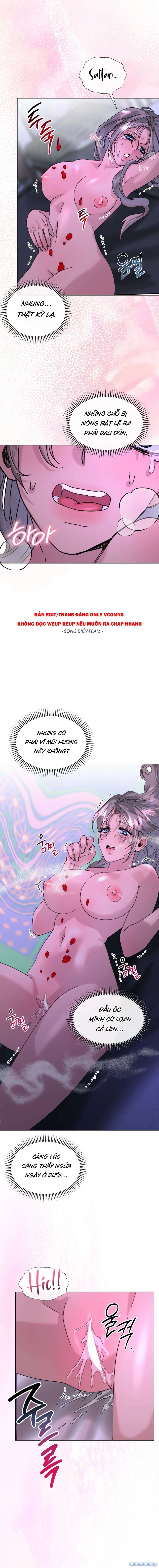 đọc truyện [ 18+ ] Trở Thành Chiến Lợi Phẩm Của Nhà Vua (sultan) Chương 5 ảnh 14 tại Thiên Thai Truyện