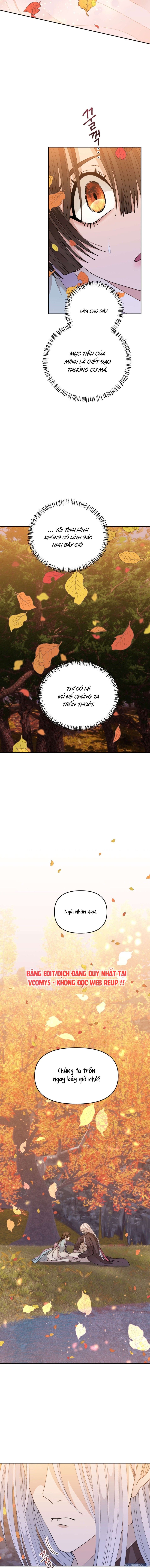 đọc truyện [ 18+ ] Truyền Thuyết Bạch Nhân Ngư Chương 15 ảnh 11 tại Thiên Thai Truyện