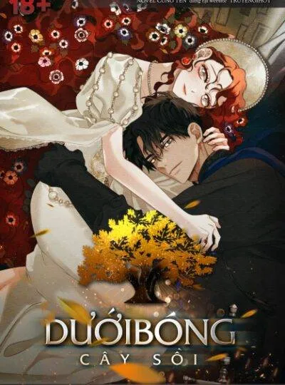 16+ Dưới Bóng Cây Sồi