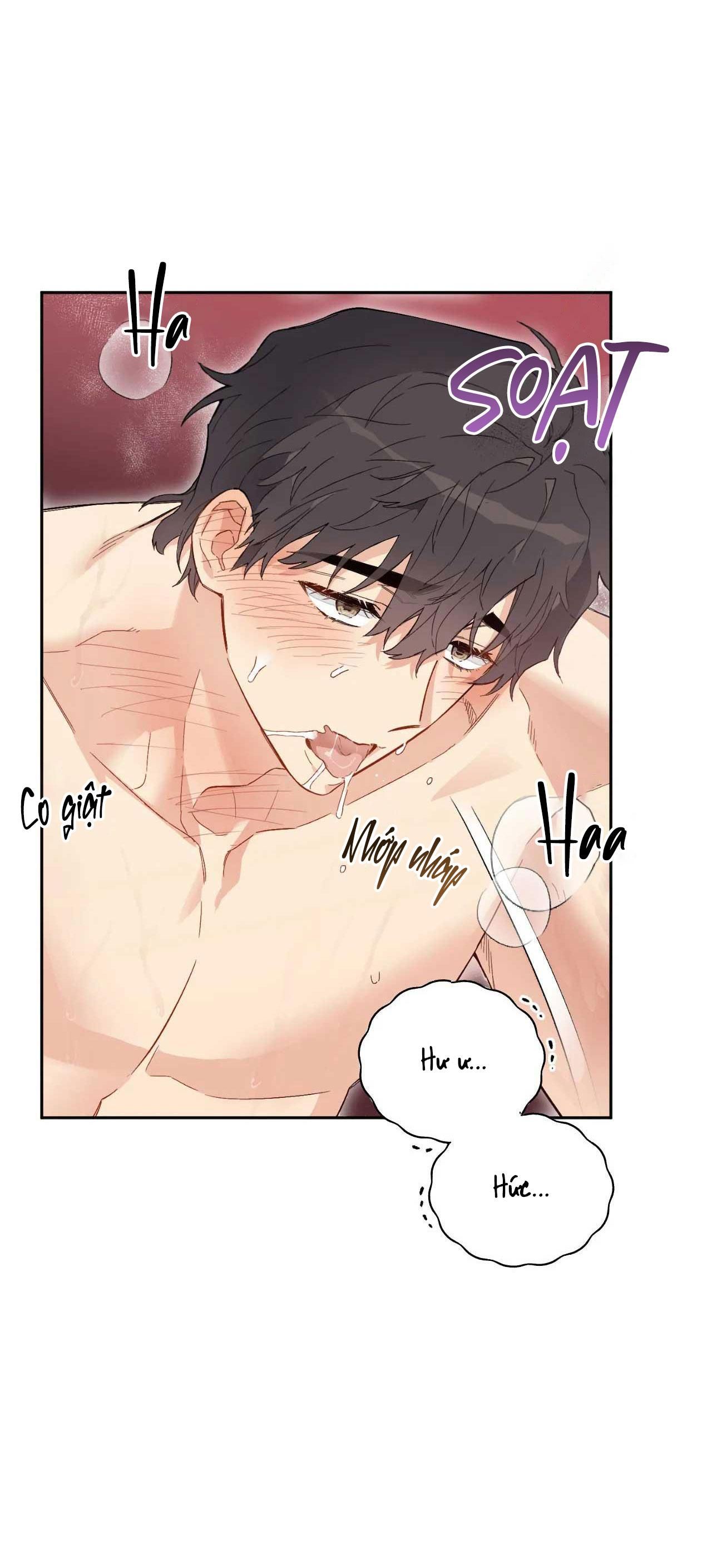 đọc truyện [18+ Bl] Vận Mệnh Của Cậu Là Gì? Chương 0.8 ảnh 10 tại Giả Dược