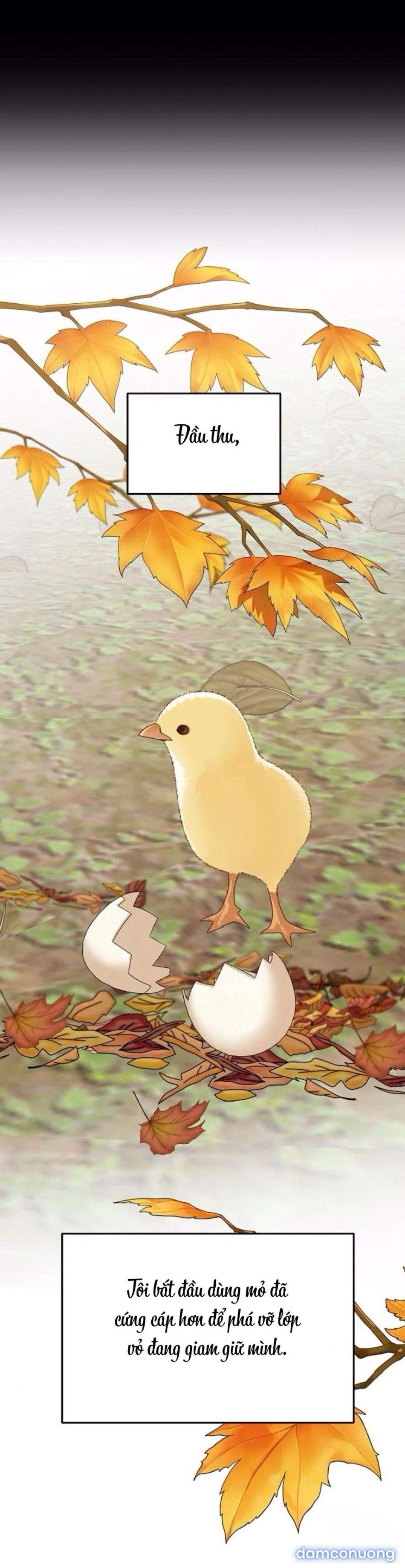 đọc truyện 〖18+〗- Cẩn Thận Va Phải Tình Yêu Chương 29 ảnh 34 tại Thiên Thai Truyện