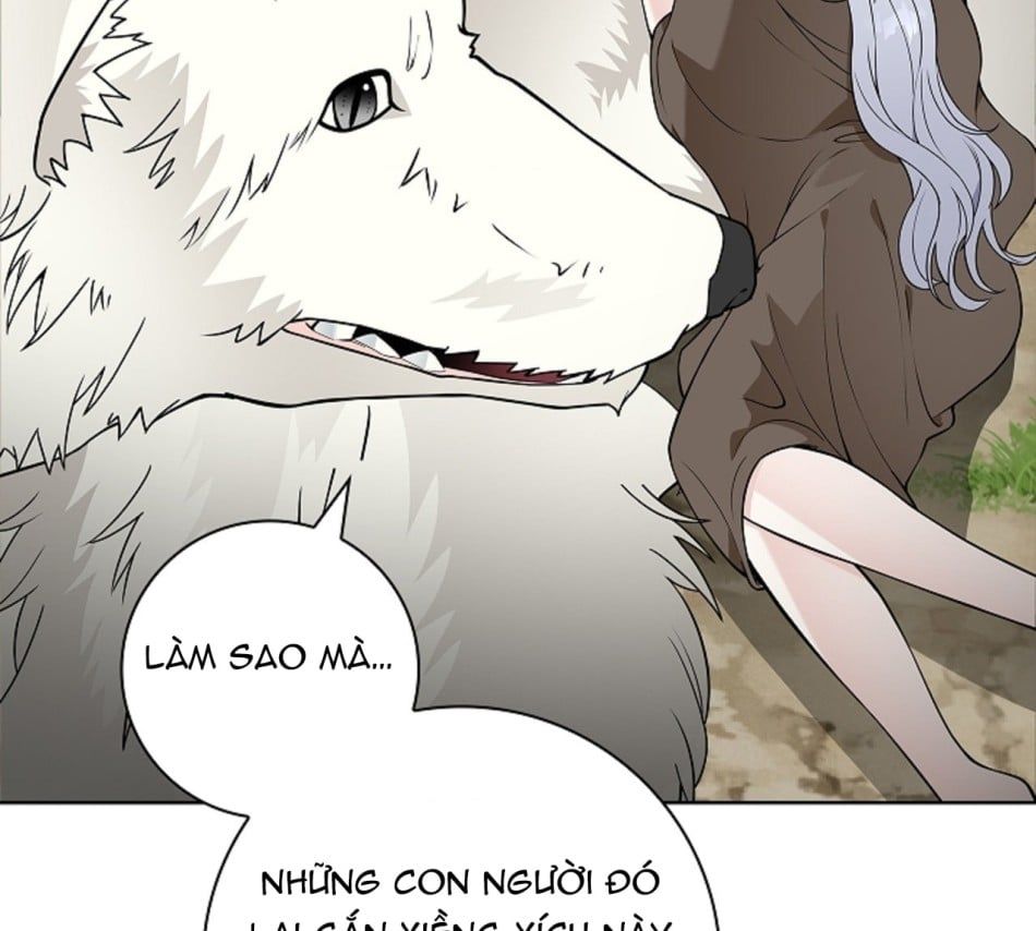 đọc truyện [18+] Cánh Hoa Ướt Át Của Thánh Nữ Chương 15 ảnh 126 tại Giả Dược