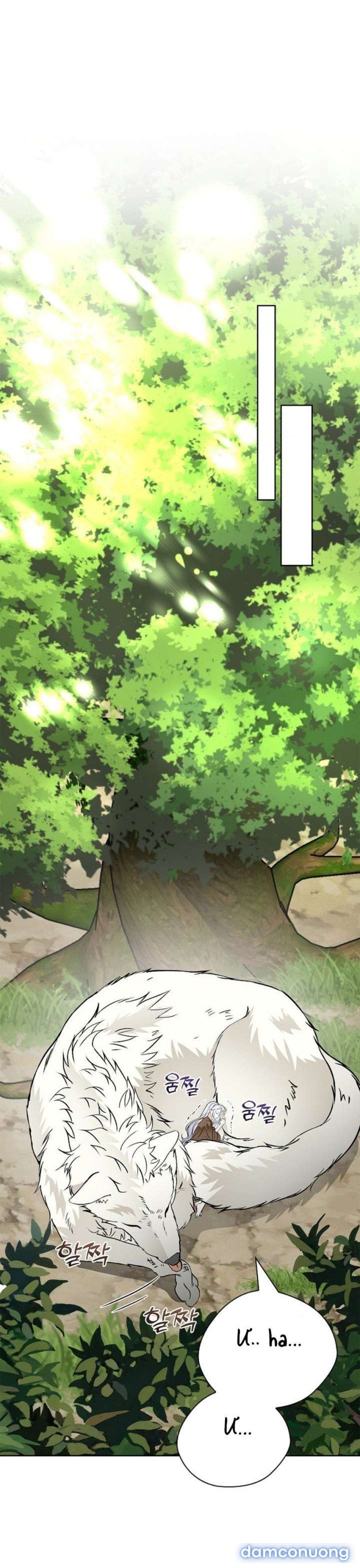 đọc truyện 〖18+〗- Cánh Hoa Ướt Đẫm Của Thánh Nữ Chương 15 ảnh 58 tại Thiên Thai Truyện