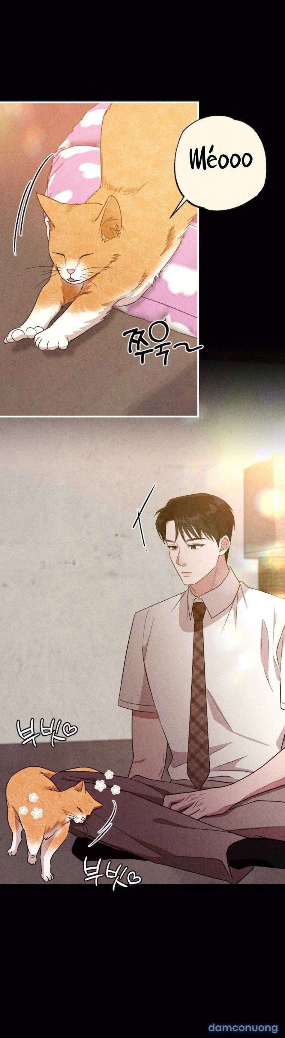 đọc truyện 〖18+〗- Chiếm Lấy Em Chương 18 ảnh 60 tại Thiên Thai Truyện