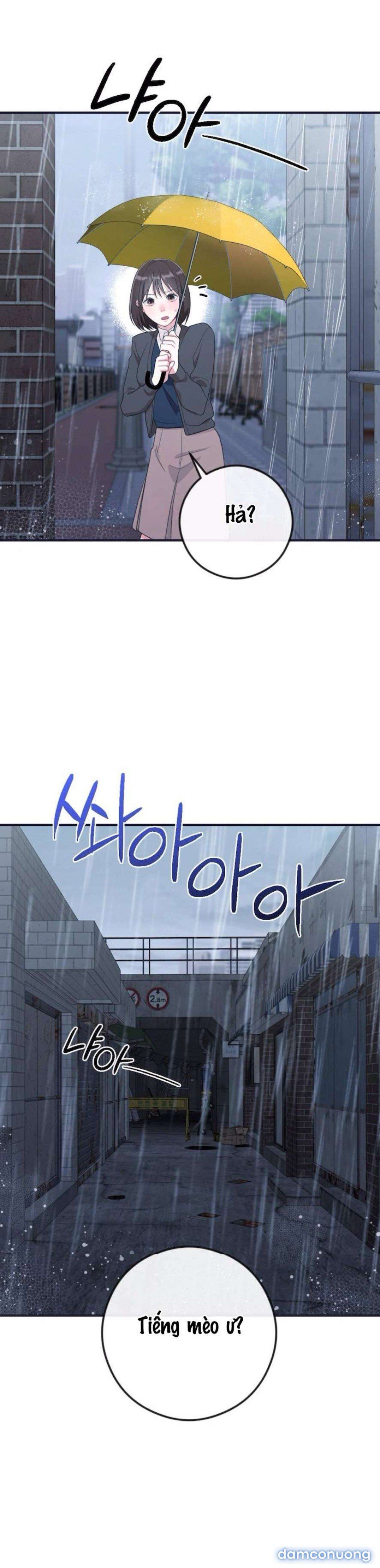 đọc truyện 〖18+〗- Chiếm Lấy Em Chương 4 ảnh 36 tại Thiên Thai Truyện