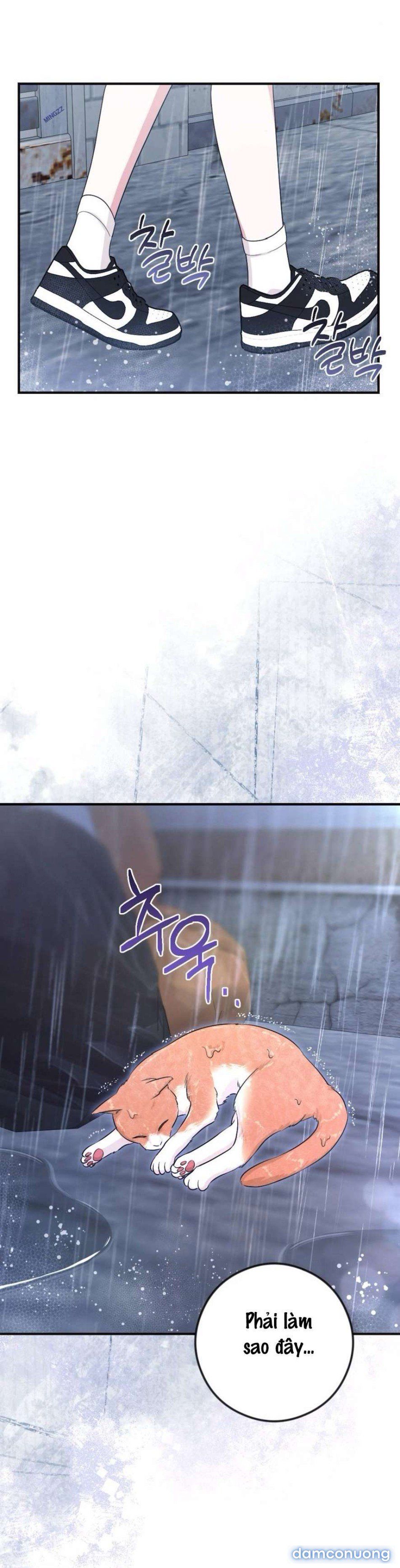 đọc truyện 〖18+〗- Chiếm Lấy Em Chương 4 ảnh 38 tại Thiên Thai Truyện