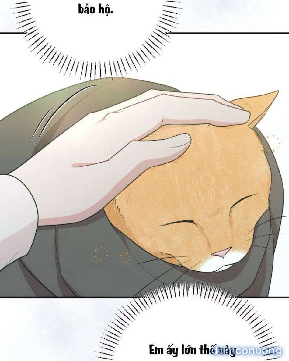 đọc truyện 〖18+〗- Chiếm Lấy Em Chương 5 ảnh 16 tại Thiên Thai Truyện