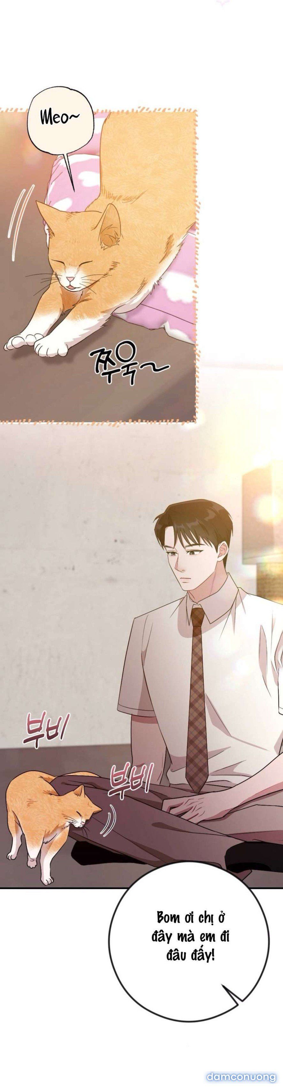 đọc truyện 〖18+〗- Chiếm Lấy Em Chương 5 ảnh 59 tại Thiên Thai Truyện