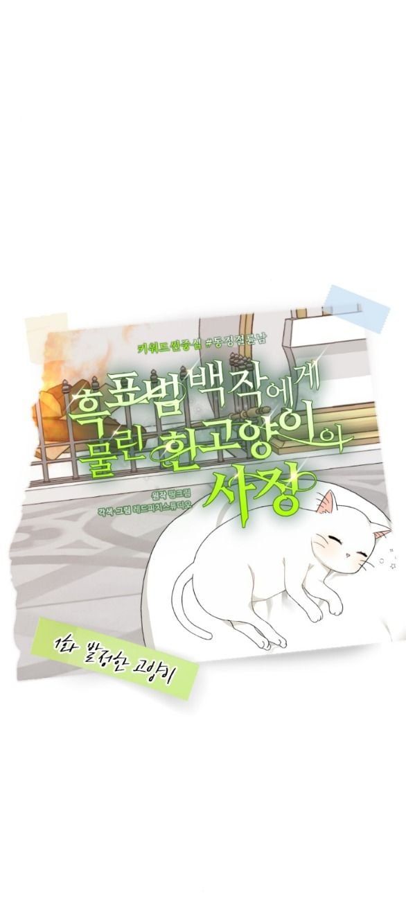 đọc truyện [18+] Chuyện Mèo Trắng Bị Ba Tước Báo Đen Ăn Thịt Chương 1.1 ảnh 8 tại Giả Dược