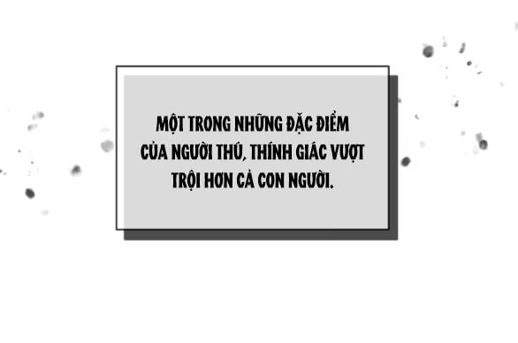 đọc truyện [18+] Chuyện Mèo Trắng Bị Ba Tước Báo Đen Ăn Thịt Chương 6.1 ảnh 32 tại Giả Dược