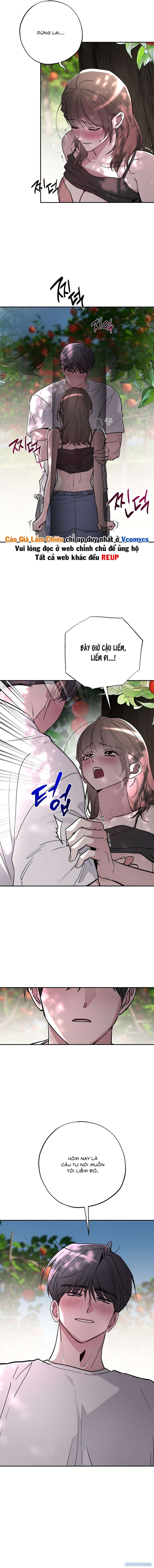 đọc truyện [18+] Chuyện Tình Vườn Cây Ăn Quả Chương 4 ảnh 9 tại Thiên Thai Truyện