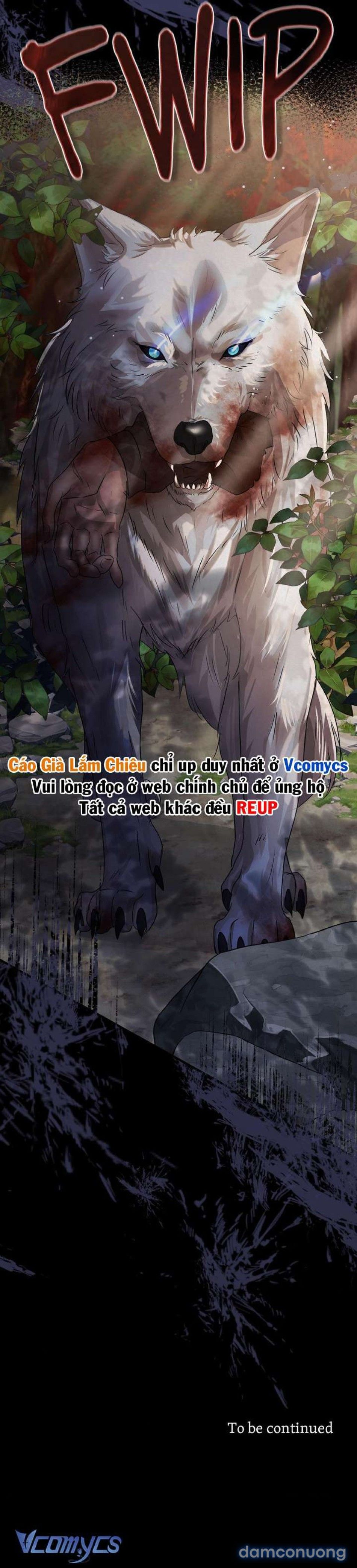 đọc truyện [18+] Con Sói Của Núi Cheonun Chương 21 ảnh 13 tại Thiên Thai Truyện