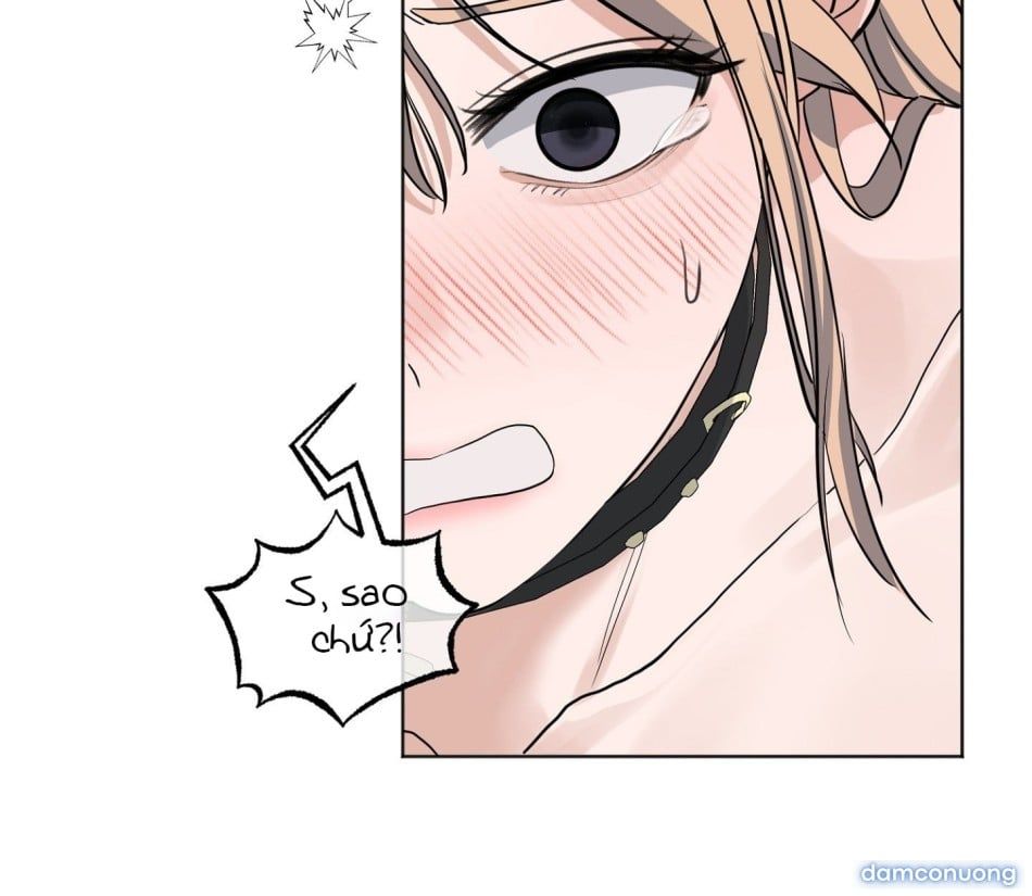 đọc truyện [18+] Cún Cưng Của Hàng Xóm Chương 11 ảnh 15 tại Thiên Thai Truyện