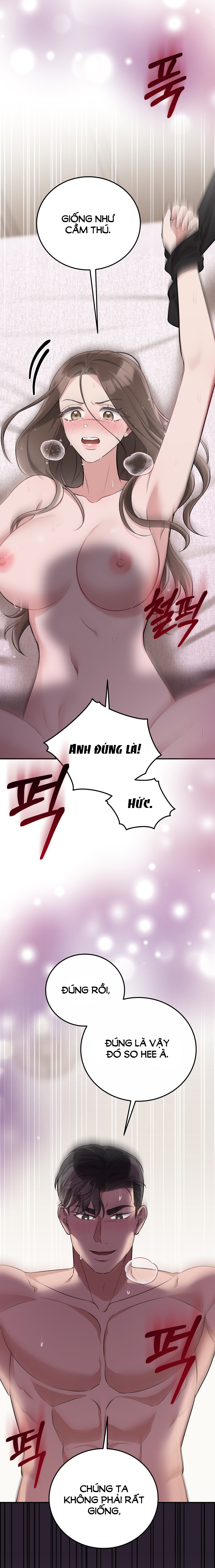 đọc truyện [18+] Cướp Dâu Chương 23.2 ảnh 23 tại Thiên Thai Truyện
