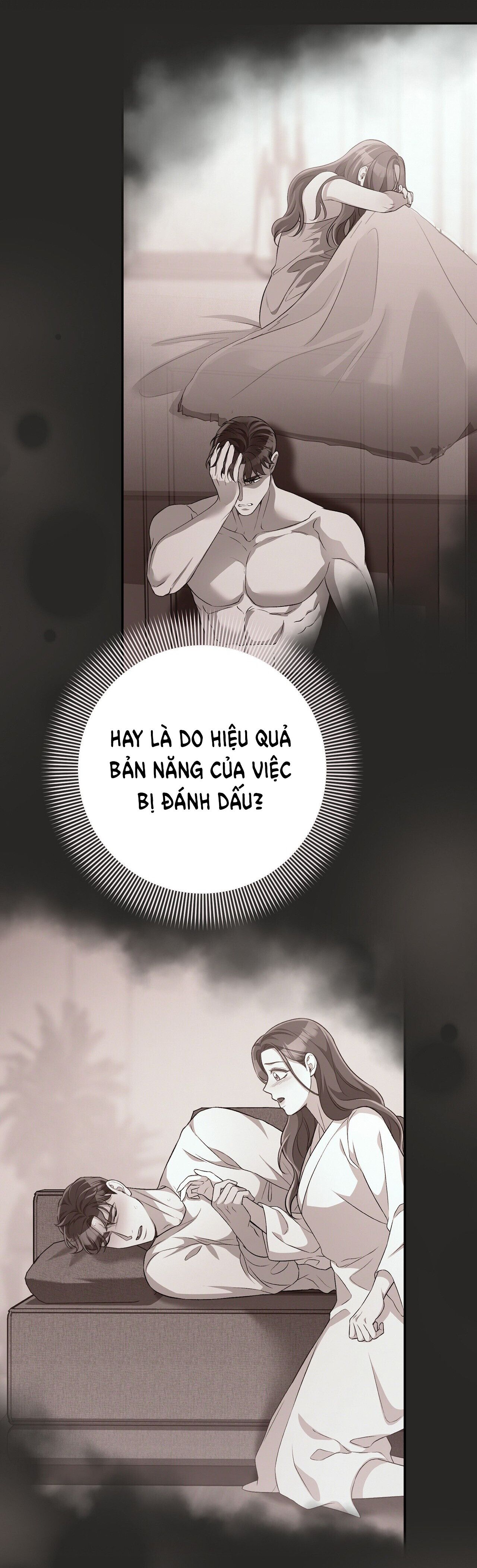 đọc truyện [18+] Cướp Dâu Chương 33 ảnh 17 tại Giả Dược