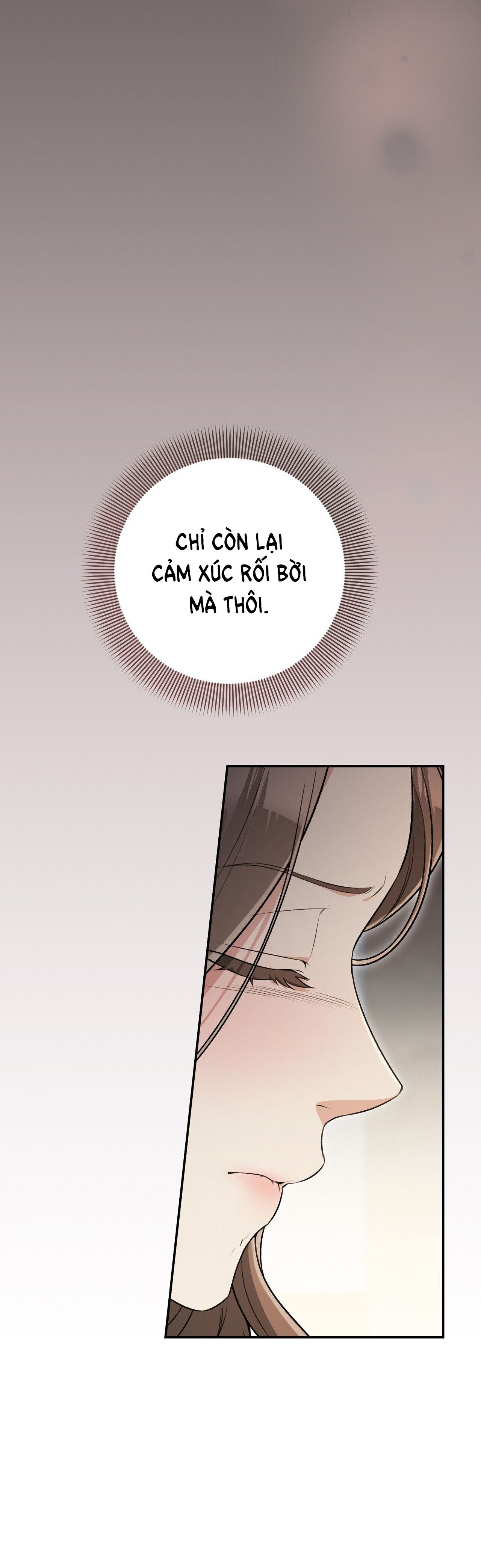 đọc truyện [18+] Cướp Dâu Chương 33 ảnh 19 tại Giả Dược