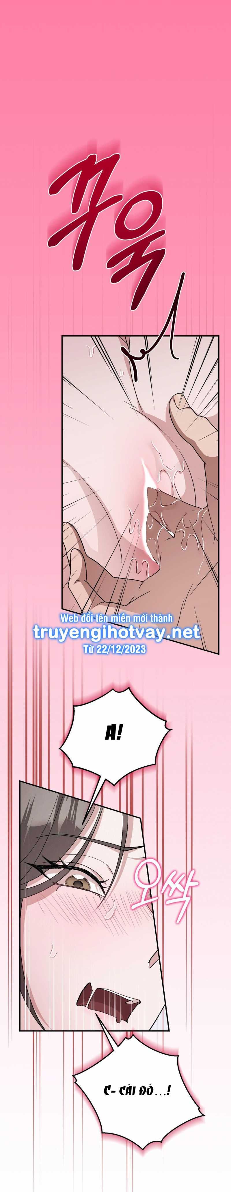 [18+] Đám Cưới Hào Nhoáng Chương 15.2 page 14 - Giả Dược