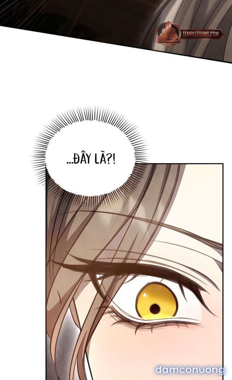 đọc truyện [18+] Đêm Cưỡng Đoạt Chương 5 ảnh 13 tại Thiên Thai Truyện