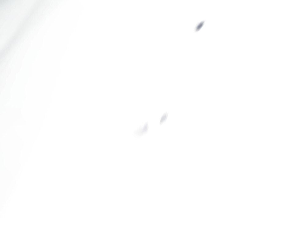 đọc truyện [18+] Đêm Giông Bão Chương 70 ảnh 21 tại Thiên Thai Truyện