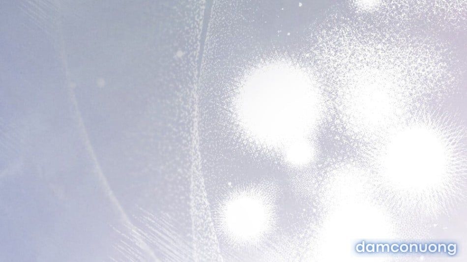 đọc truyện [18+] Đêm Giông Bão Chương 77 ảnh 63 tại Thiên Thai Truyện