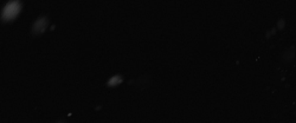 đọc truyện [18+] Đêm Hỗn Loạn Chương 73 ảnh 66 tại Thiên Thai Truyện