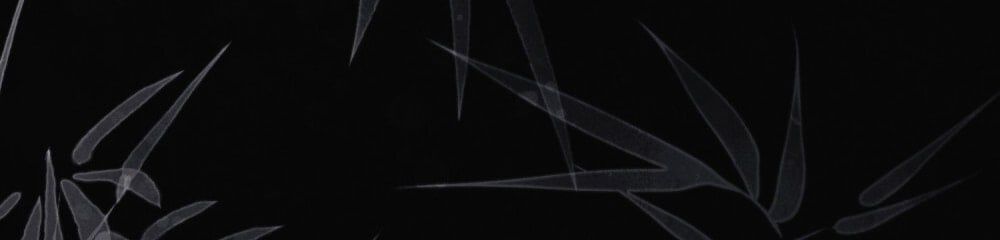 đọc truyện [18+] Đêm Hỗn Loạn Chương 76 ảnh 61 tại Thiên Thai Truyện