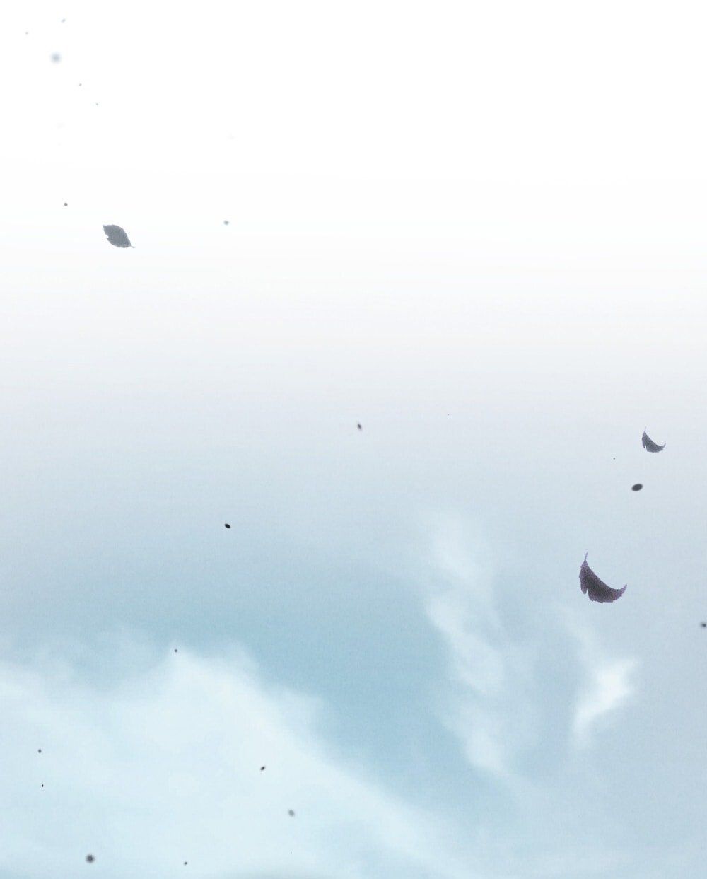 đọc truyện [18+] Đêm Hỗn Loạn Chương 76 ảnh 75 tại Thiên Thai Truyện