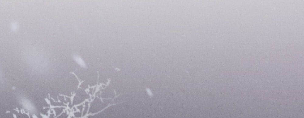 đọc truyện [18+] Đêm Hỗn Loạn Chương 77 ảnh 91 tại Thiên Thai Truyện