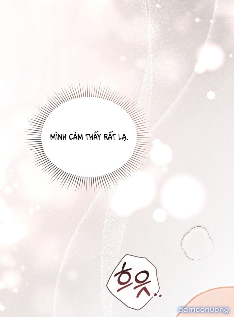 đọc truyện [18+] Đêm Hỗn Loạn Chương 81 ảnh 24 tại Thiên Thai Truyện