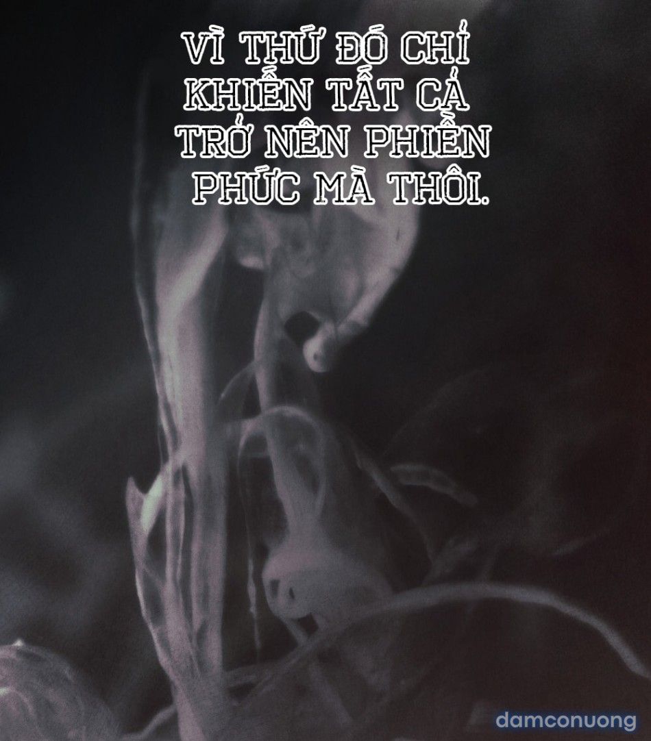 đọc truyện [18+] Đêm Hỗn Loạn Chương 83 ảnh 46 tại Thiên Thai Truyện