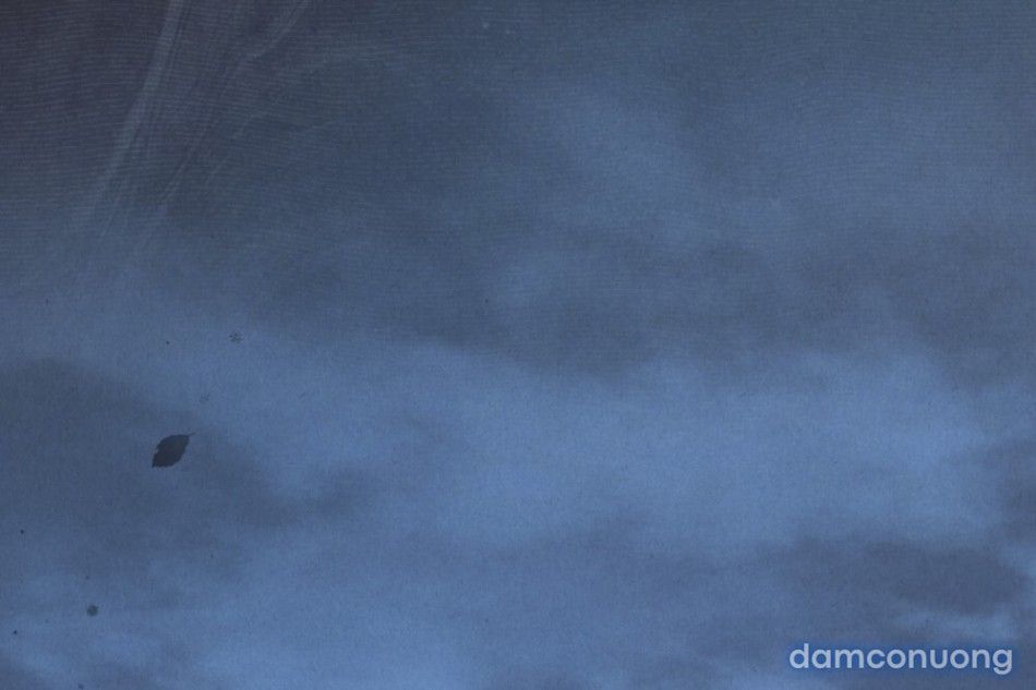 đọc truyện [18+] Đêm Hỗn Loạn Chương 85 ảnh 23 tại Thiên Thai Truyện