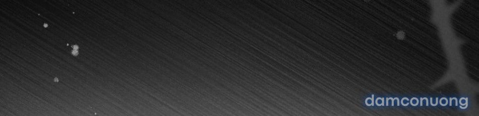 đọc truyện [18+] Đêm Hỗn Loạn Chương 90 ảnh 68 tại Thiên Thai Truyện