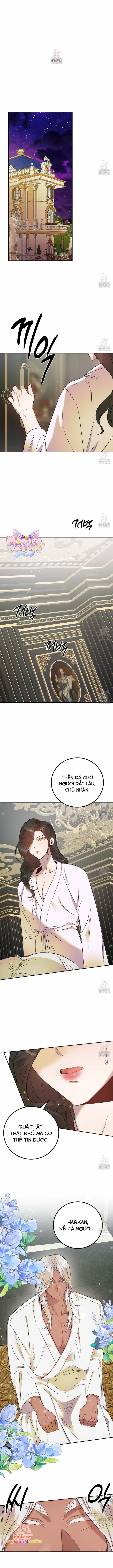 đọc truyện [18+] Hậu Cung Của Nữ Hoàng Chương 5 ảnh 1 tại Giả Dược