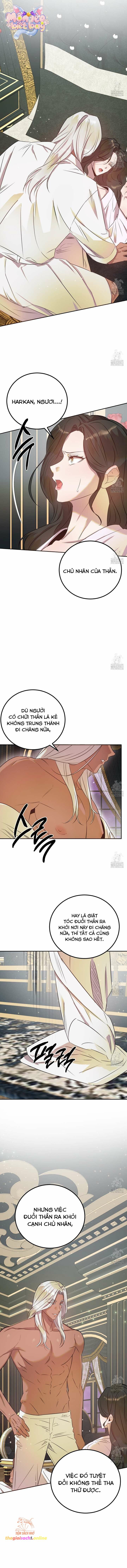đọc truyện [18+] Hậu Cung Của Nữ Hoàng Chương 5 ảnh 9 tại Giả Dược