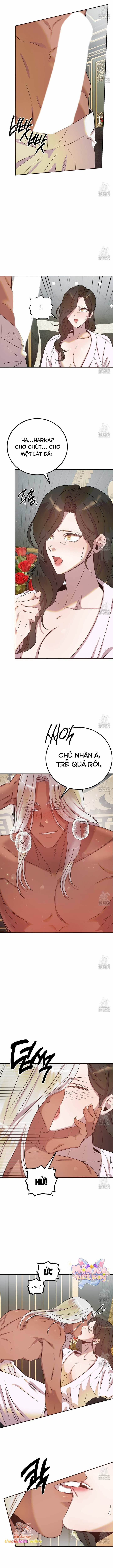 đọc truyện [18+] Hậu Cung Của Nữ Hoàng Chương 5 ảnh 10 tại Giả Dược